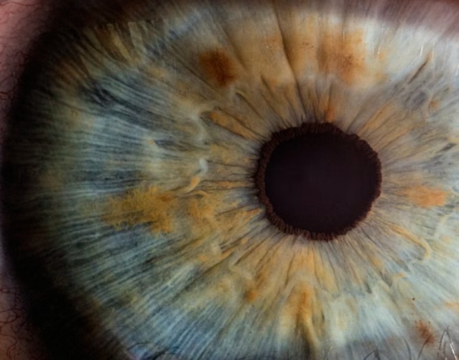 Le Louise Eye Center